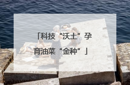 科技“沃土”孕育油菜“金种”