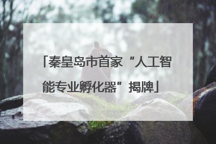 秦皇岛市首家“人工智能专业孵化器”揭牌
