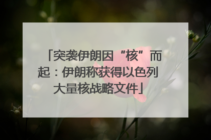突袭伊朗因“核”而起：伊朗称获得以色列大量核战略文件