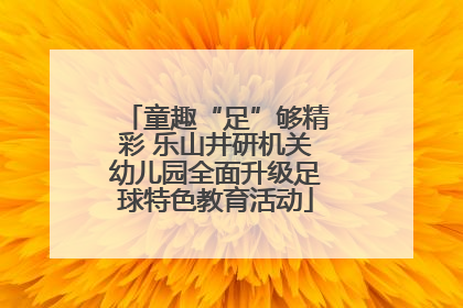 童趣“足”够精彩 乐山井研机关幼儿园全面升级足球特色教育活动