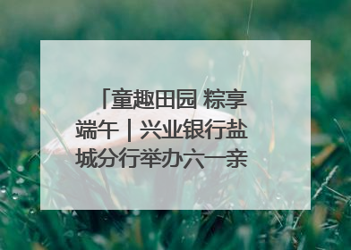 童趣田园 粽享端午｜兴业银行盐城分行举办六一亲子嘉年华活动