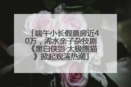 端午小长假票房近40万，浠水亲子杂技剧《黑白侠影·太极熊猫》掀起观演热潮