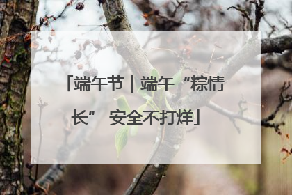端午节｜端午“粽情长” 安全不打烊