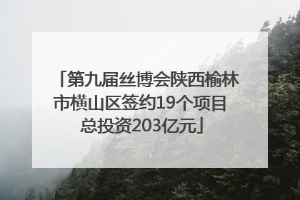 第九届丝博会陕西榆林市横山区签约19个项目 总投资203亿元