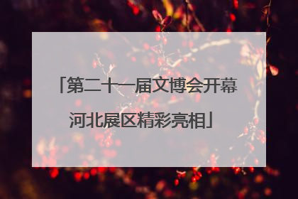 第二十一届文博会开幕 河北展区精彩亮相