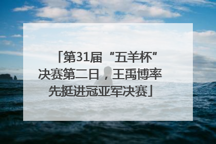第31届“五羊杯”决赛第二日，王禹博率先挺进冠亚军决赛