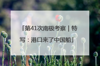 第41次南极考察｜特写：港口来了中国船