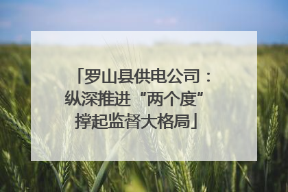 罗山县供电公司：纵深推进“两个度” 撑起监督大格局