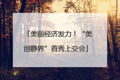 美丽经济发力！“美创静界”首秀上交会