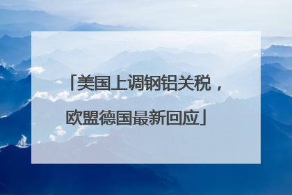 美国上调钢铝关税，欧盟德国最新回应