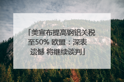 美宣布提高钢铝关税至50% 欧盟：深表遗憾 将继续谈判