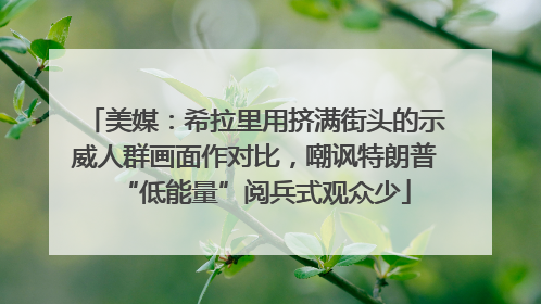 美媒：希拉里用挤满街头的示威人群画面作对比，嘲讽特朗普“低能量”阅兵式观众少