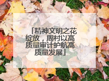 精神文明之花绽放，周村以高质量审计护航高质量发展