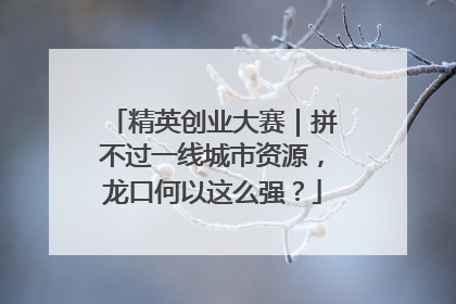 精英创业大赛｜拼不过一线城市资源，龙口何以这么强？