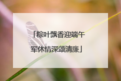 粽叶飘香迎端午 军休情深颂清廉