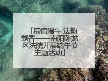 粽情端午 法韵飘香——南阳卧龙区法院开展端午节主题活动