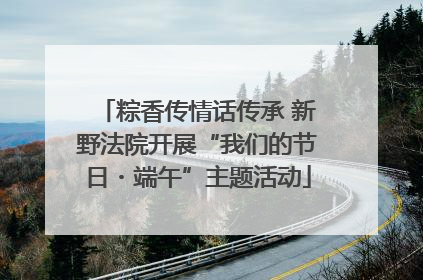 粽香传情话传承 新野法院开展“我们的节日・端午”主题活动