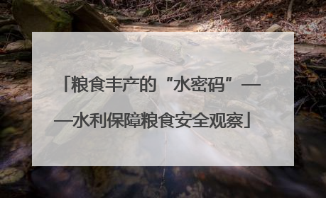 粮食丰产的“水密码”——水利保障粮食安全观察
