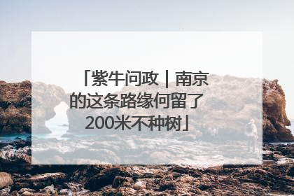 紫牛问政｜南京的这条路缘何留了200米不种树