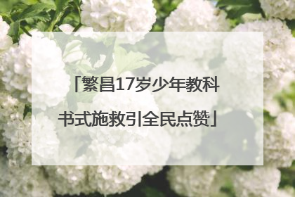 繁昌17岁少年教科书式施救引全民点赞