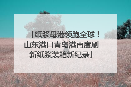 纸浆母港领跑全球！山东港口青岛港再度刷新纸浆装箱新纪录