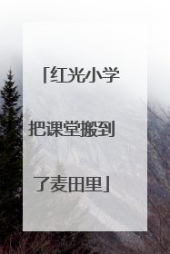 红光小学把课堂搬到了麦田里