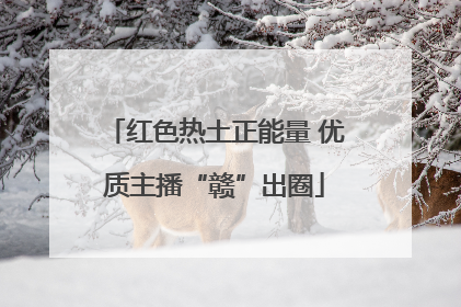 红色热土正能量 优质主播“赣”出圈