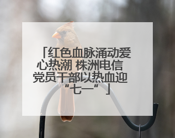 红色血脉涌动爱心热潮 株洲电信党员干部以热血迎“七一”