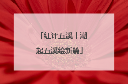 红评五溪丨潮起五溪绘新篇