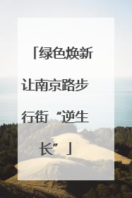 绿色焕新让南京路步行街“逆生长”