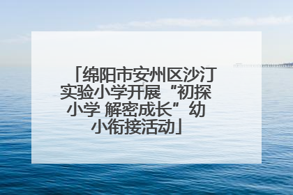 绵阳市安州区沙汀实验小学开展“初探小学 解密成长”幼小衔接活动