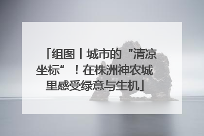 组图丨城市的“清凉坐标”！在株洲神农城里感受绿意与生机