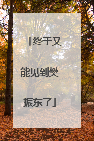 终于又能见到樊振东了