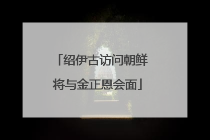 绍伊古访问朝鲜 将与金正恩会面