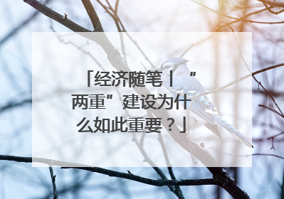 经济随笔丨“两重”建设为什么如此重要？