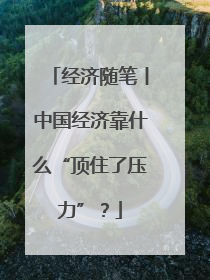 经济随笔丨中国经济靠什么“顶住了压力”？