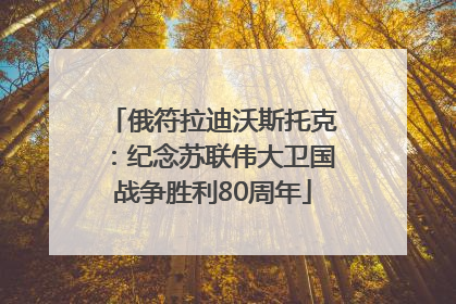 俄符拉迪沃斯托克：纪念苏联伟大卫国战争胜利80周年