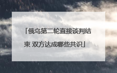 俄乌第二轮直接谈判结束 双方达成哪些共识