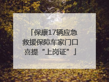 保康17辆应急救援保障车家门口喜提“上岗证”