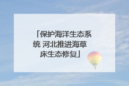 保护海洋生态系统 河北推进海草床生态修复