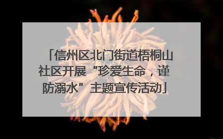 信州区北门街道梧桐山社区开展“珍爱生命，谨防溺水”主题宣传活动