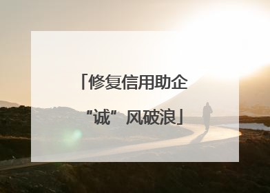 修复信用助企“诚”风破浪