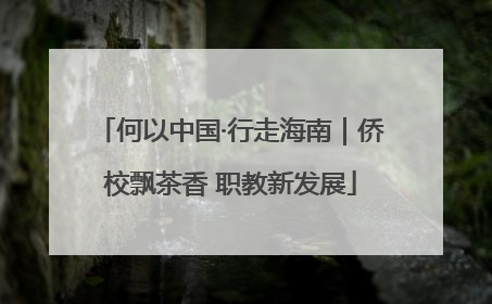 何以中国·行走海南｜侨校飘茶香 职教新发展
