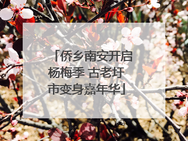 侨乡南安开启杨梅季 古老圩市变身嘉年华