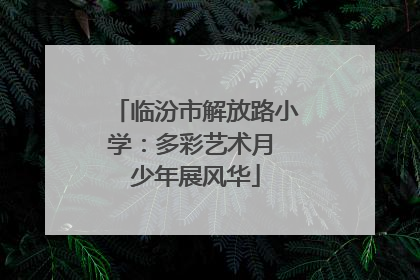 临汾市解放路小学：多彩艺术月 少年展风华