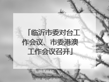 临沂市委对台工作会议、市委港澳工作会议召开