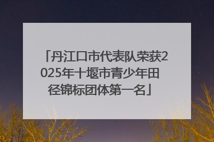 丹江口市代表队荣获2025年十堰市青少年田径锦标团体第一名