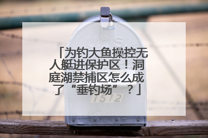为钓大鱼操控无人艇进保护区！洞庭湖禁捕区怎么成了“垂钓场”？