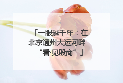 一眼越千年：在北京通州大运河畔“看·见殷商”