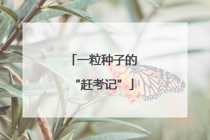 一粒种子的“赶考记”